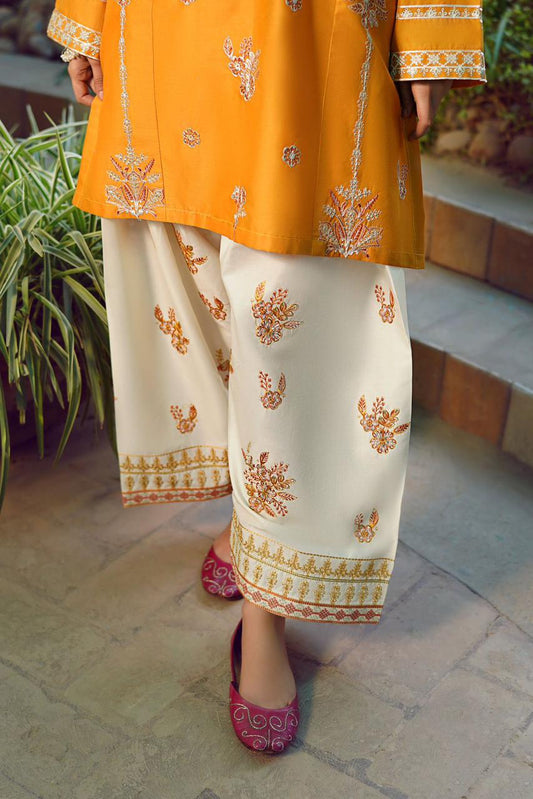 DHANAK EMBROIDERY 2PC