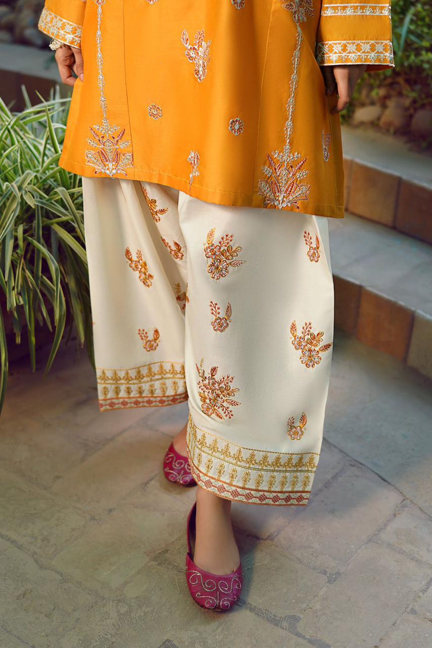 DHANAK EMBROIDERY 2PC